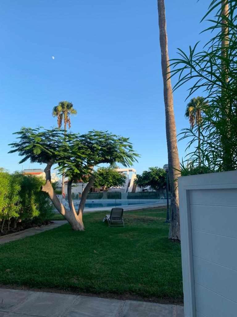 Relax Pasito Blanco Apartment ภายนอก รูปภาพ